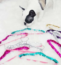 Sparkly Princess Hangers Image 2