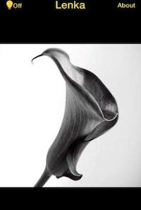 Achromatic Photography Apps Image 3