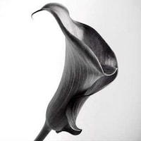 Achromatic Photography Apps Image 8