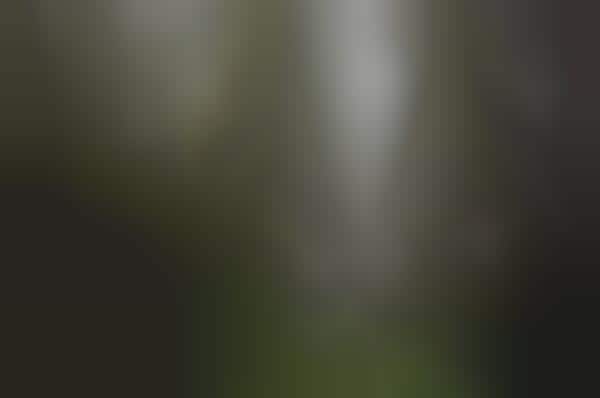 Mysterious Landscape Photography