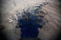 Chinese Pollution Pictures Image 2