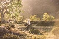 Lush Wilderness Editorials Image 4