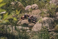 Lush Wilderness Editorials Image 5