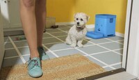 Communicative Pet Feeders Image 3