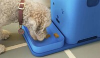 Communicative Pet Feeders Image 6