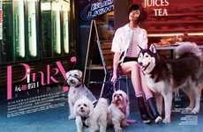 Chic Urban Editorials