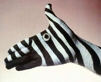 Animal Hand Paintings Image 7