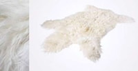 Imposter Animal Fur Decor Image 2