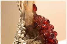 Mixed Media Taxidermy