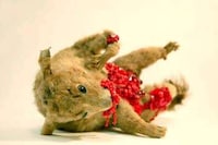 Mixed Media Taxidermy Image 4