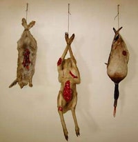 Mixed Media Taxidermy Image 6