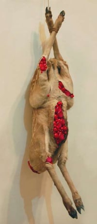 Mixed Media Taxidermy Image 7