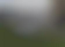 Schadenfreude on the Green