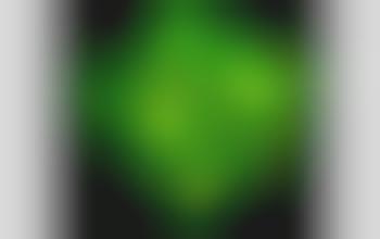 Glowing Flora