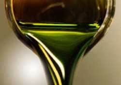 Automotive Algae Fuel