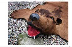 Nature-Inspired Wool Art