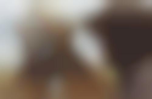 Digitally Doggified