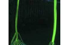 Glowing Swings