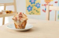 Kitten Croissant Ads Image 3
