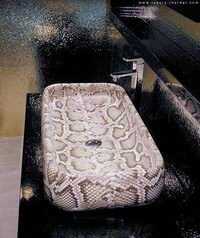 Afro Exotic Washrooms Image 2