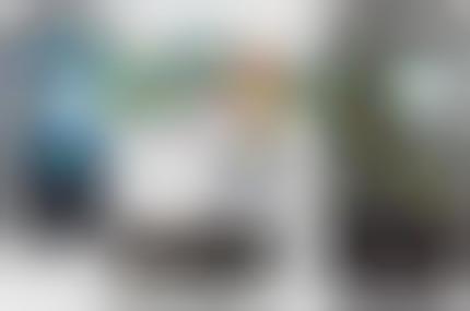 Mega Leaks