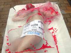 27 Provocative PETA Protests
