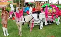 Real Life My Little Pony Image 3