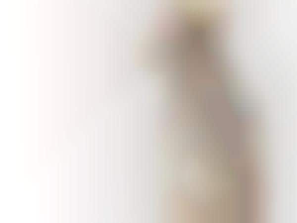Ethereal Wedding Lingerie