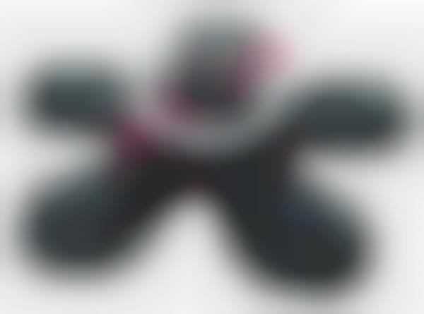 Robotic Bug Battle Toys