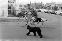 Eccentric Artist Photography Image 4