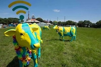Bovine WiFi Statues Image 6