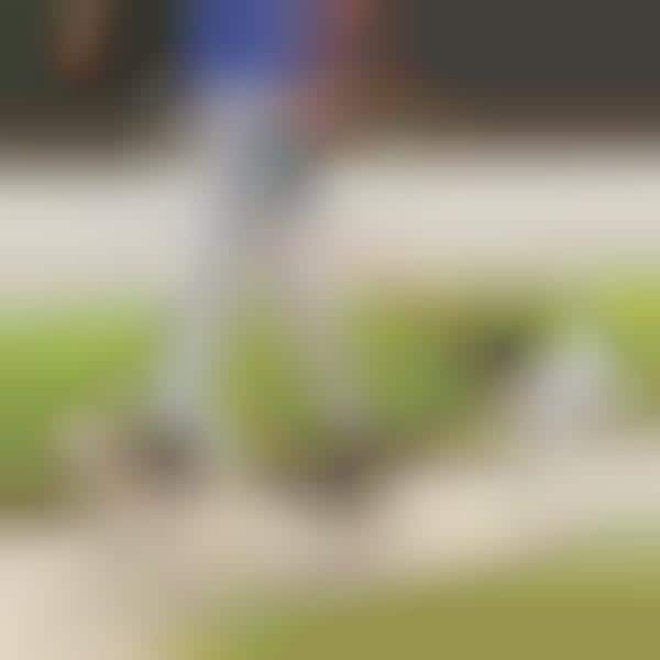 tandem leash for dogs