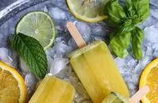 74 Summer-Ready Popsicle Innovations