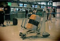 Sushi Luggage Covers Image 7