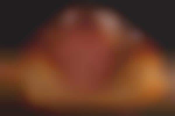 Gourmet Hot Dog Recipes