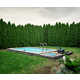Eerie Landscape Photography Image 4