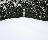 Eerie Landscape Photography Image 7