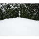Eerie Landscape Photography Image 7