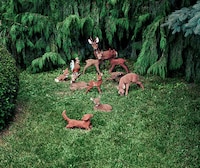 Eerie Landscape Photography Image 8