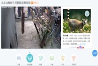 Virtual Zoo Tours Image 2