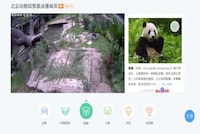 Virtual Zoo Tours Image 3
