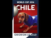 Canine Superfan Posters Image 6