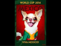 Canine Superfan Posters Image 7