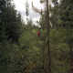 Intimate Avian Portraits Image 3