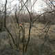 Intimate Avian Portraits Image 5