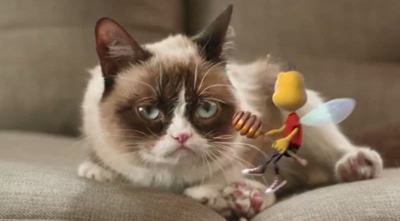 Cat Meme Cereal Ads