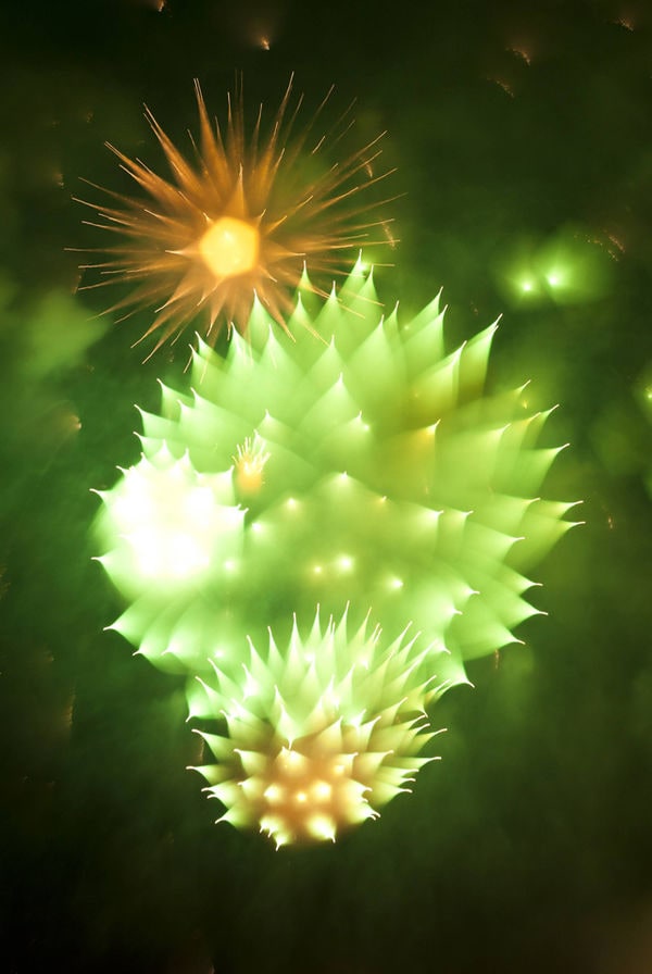 15 Dynamic Photos of Fireworks