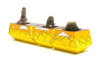 Artistically Modern Planters Image 3