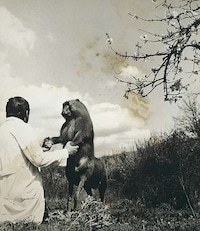 Surreal Mythological Photography Image 2