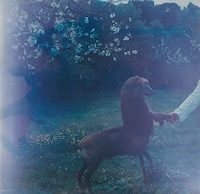 Surreal Mythological Photography Image 3